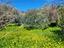 Immagine 9