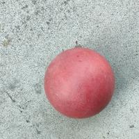 bocce