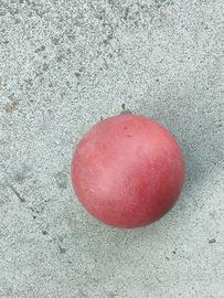 bocce