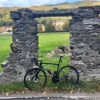 Tarmac sl6 chamaleon s-works