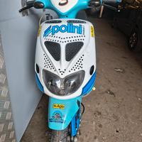 ZIP SP TROFEO POLINI 