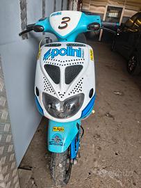 ZIP SP TROFEO POLINI 