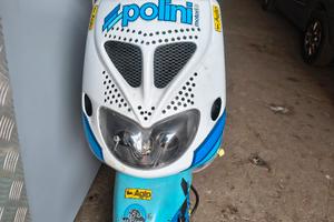 ZIP SP TROFEO POLINI 