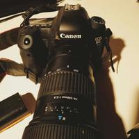 Canon EOS 6D + Tamron 70-200mm