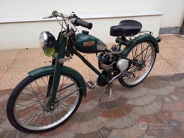 Aquilotto Bianchi con documenti