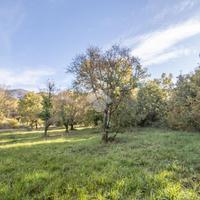 TER. RESIDENZIALE A CASPERIA
