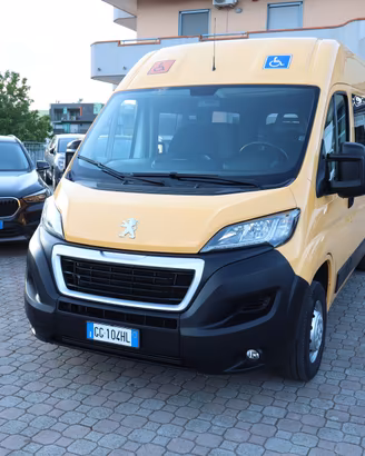 Peugeot Boxer 2.2 Bluehdi 140 Cv - Trasporto Disab