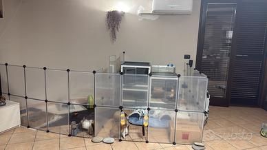 Recinto animali e gabbia