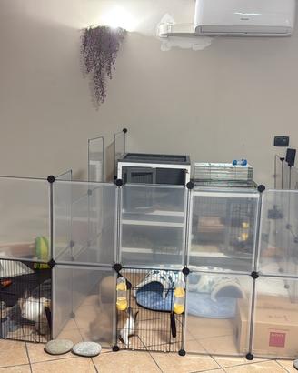 Recinto animali e gabbia