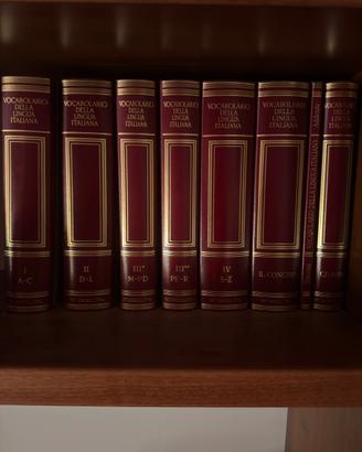 vocabolario della lingua italiana treccani
