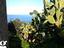 Immagine 9