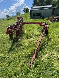 Ranghinatore tonutti 9 stelle