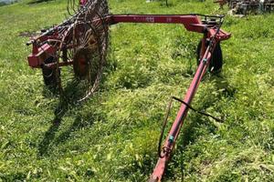 Ranghinatore tonutti 9 stelle