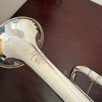 Tromba professionale sib Di Grigoli