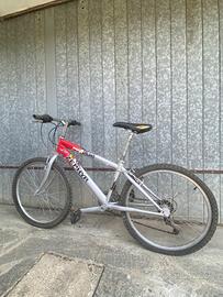 Bicicletta