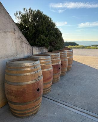 barrique da 225 litri in rovere francese