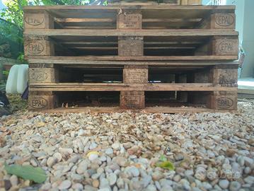 Pallet EPAL