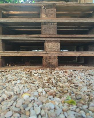 Pallet EPAL