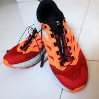 Scarpe SALOMON running, trail, corsa, campestre 42