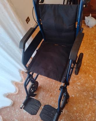 sedia a rotelle 