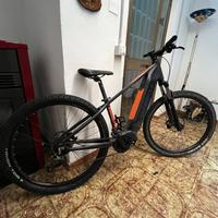 Ebike whistle