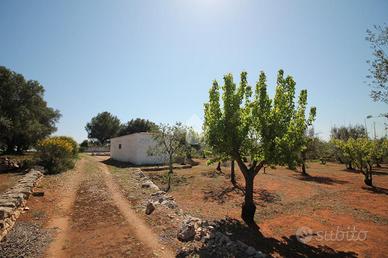 CASA DI CORTE A OSTUNI