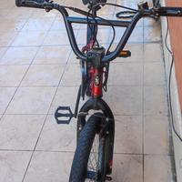 Mountain bike bambino 