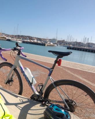 Bicicletta Endurance Giant Defy 2 Advanced