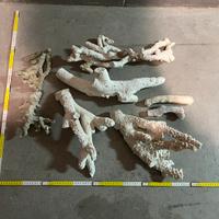 Rocce acquario marino coralli