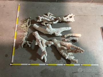 Rocce acquario marino coralli