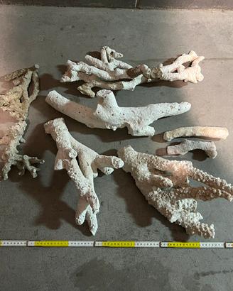 Rocce acquario marino coralli