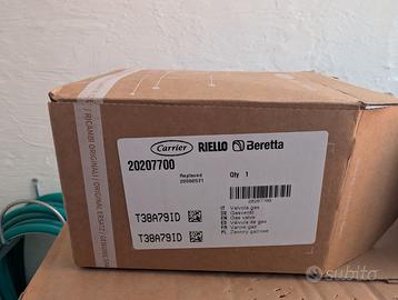 Gruppo controllo gas