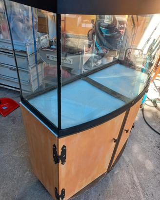 acquario da 250 litri