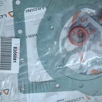 paraoli e guarnizione lombardini