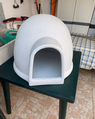 Cuccia