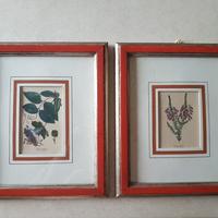 2 incisioni francesi metà XIX secolo 