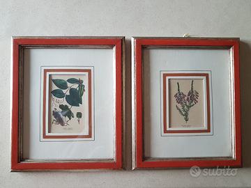 2 incisioni francesi metà XIX secolo 