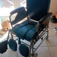 Sedia a rotelle
