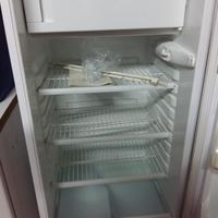 Frigo Rex