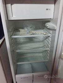 Frigo Rex