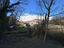 Immagine 19