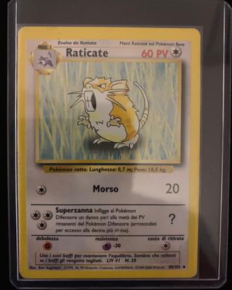 Pokemon “Raticate” set base