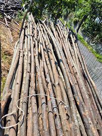 Forcine per sostegno piante