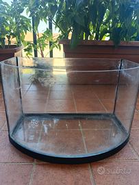 Acquario 25 litri