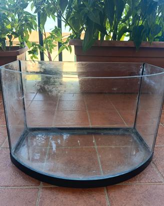 Acquario 25 litri