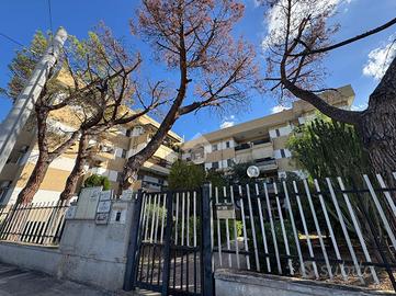 MONOLOCALE A BARI