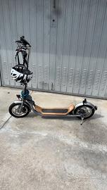Monopattino elettrico 