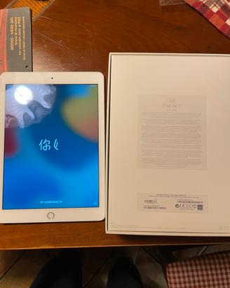 apple  ipad air 2 (wi-fi + cellular ) 32 gb silver