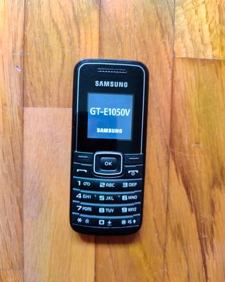 Samsung GT-E1050V – Cellulare 