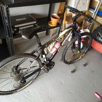Mountain bike Canmore